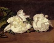 Edouard Manet : Branch Of White Peonies With Pruning Shears